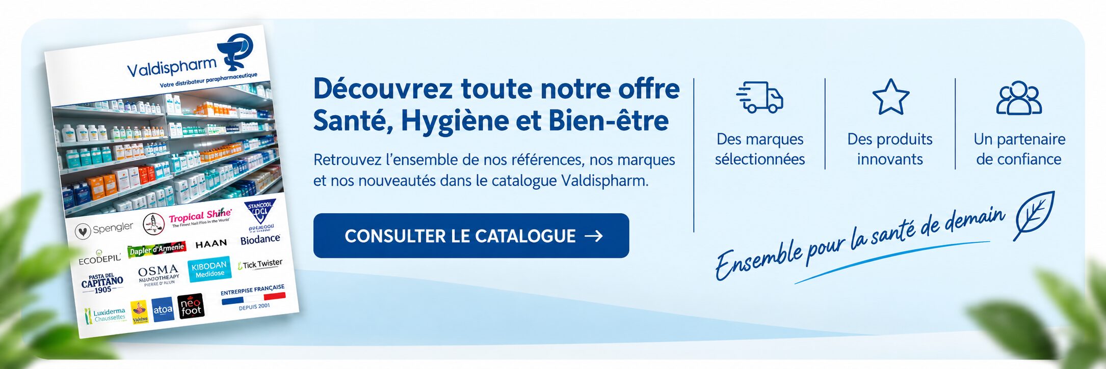 banniere fin de page